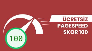 WordPress Site Hızlandırma - PageSpeed 100