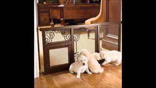 Online Pet Shop