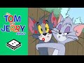 Cupid Mouse Tom And Jerry Boomerang UK