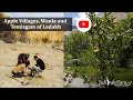 Apple Villages Wanla And Temisgam Of Ladakh