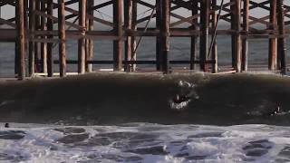 Dane Reynolds | judgement day