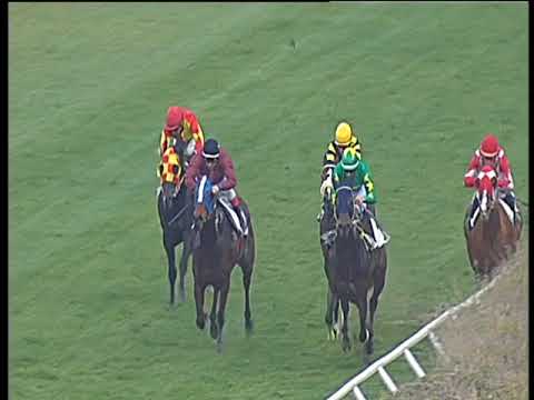 Galoppo 17/02/2018 - 3ª corsa