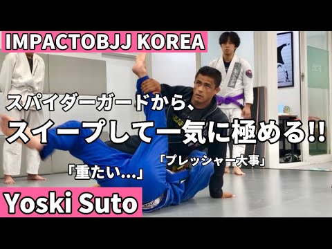【ブラジリアン柔術】スパイダーガードから、スイープして一気に極める!!こんな絞め方もあるんだから(´∀｀)IMPACTOBJJ【yoskisuto】