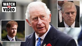 King Charles' royal shuffle shocks as Prince Harry and Andrew keep major title