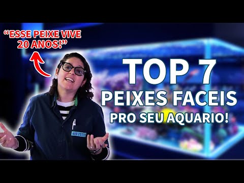 PEIXES MAIS FACEIS PARA CUIDAR NO AQUARIO TOP 7 - SEU AQUARIO LINDO, SIMPLES E FACIL Aquatica Brazil