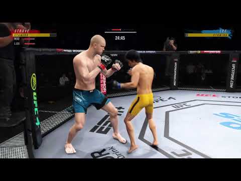 Bruce Lee vs Stefan Struve UFC 4 Fight (Vale Tudo)