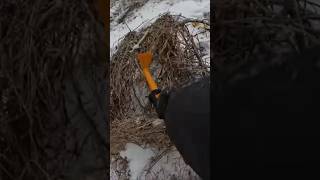 Useful Winter Finding 🥶