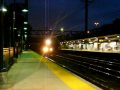 The Tortoise And The Hare In Larchmont