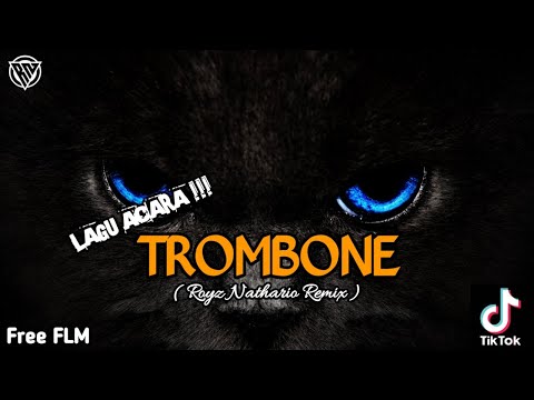Dj Trombone ( Royz Nathario Remix ) New2k22_Simplefvnky_FreeFLM