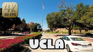 Driving Around UCLA Campus in Los Angeles, California in 4k Video