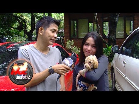 Fasa Warokka Pelihara Anjing, Angga Putra Cemburu? - Hot Shot 07 Januari 2018
