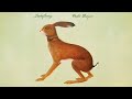 Vashti Bunyan - Hidden (Instrumental)