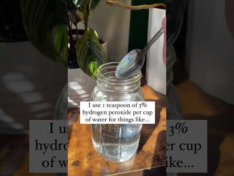 Have you tried hydrogen peroxide for your plants before? #houseplants #plantcare #plantsofyoutube