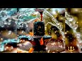 Mahakal Status Mahadev StatusVideo Sawan Somwar Bhole Baba Bholenath WhatsApp Status Video 2021