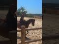 Jument &agrave; vendre 