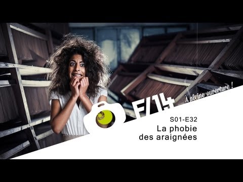 comment soigner phobie araignées