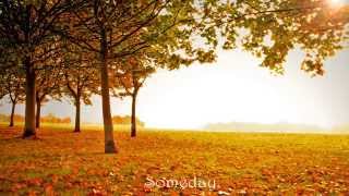 Someday - Celtic Woman