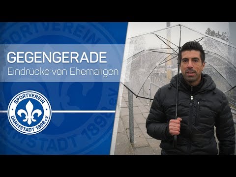 Darmstadt 98 | Gegengeraden-Gespräche mit Ehemaligen