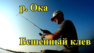 Рыбалка на оке в муром