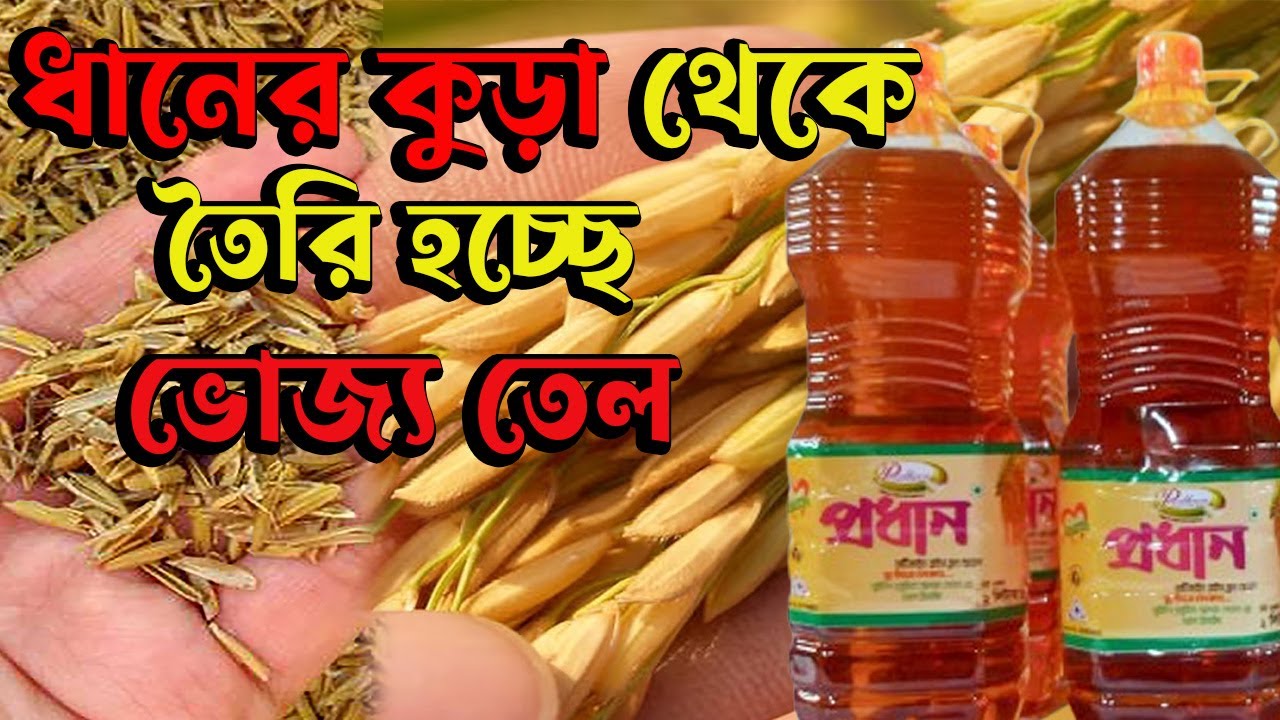 ধানের কুঁড়া থেকে তৈরি হচ্ছে কোটি কোটি টাকার ভোজ্য তেল