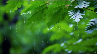 [Meditation Music] Truly Amazing! Cleanse Your Mind and Body with Daily 10-Minute Qi Healing