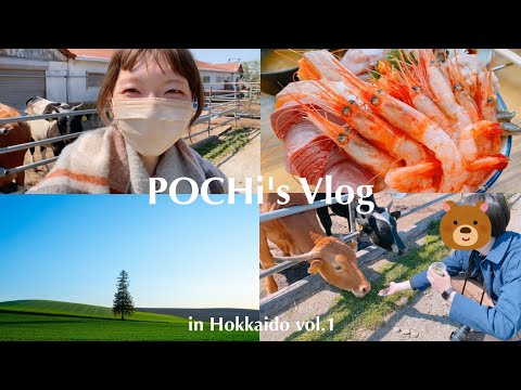 [Hokkaido Vlog #1] Primer viaje por carretera a Hokkaido | Marutoma Shokudo, Heidi Farm, Christmas Tree, Furano Ramen "Saigen" [Tomakomai, Biei, Furano]
