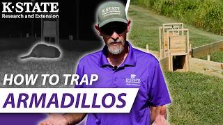 How you can trap Armadillos successfully! (and make the trap!) | KSE Wildlife Management Guides