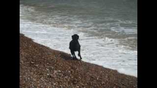 Anthony Phillips - Silver Song