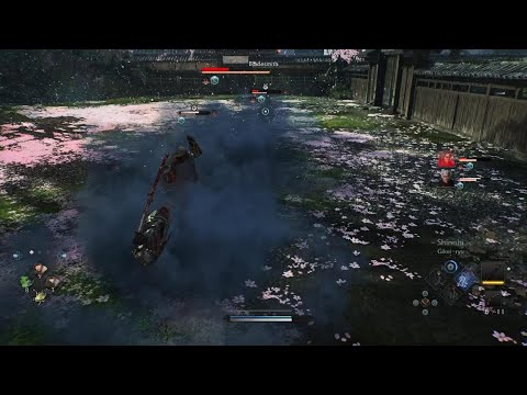 Rise of the Ronin: Other halves solo lvl 100 (Damn its tough)