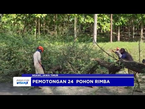 POLRES NGAWI PENGAMANAN &amp; PEMOTONGAN POHON RIMBA