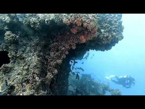 2020 02 29 RSB 1 Wreck Pompano Beach Florida