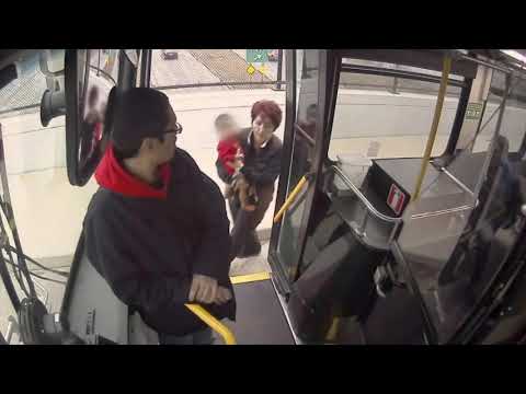 The Milwaukee County Transit System says an alert bus driver rescued a young child found wandering barefoot on a freeway overpass in frigid temperatures. The incident was captured on video. (Jan. 10)