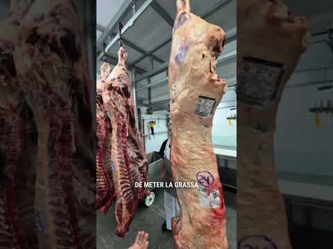 Oggi facciamo un salto nel cuore di Buenos Aires, dentro una macelleria.🥩