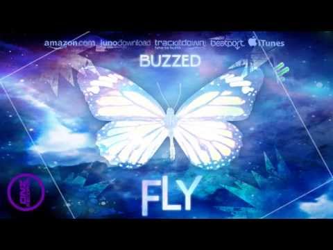 DNZ137 // BUZZED - FLY (Official Video DNZ RECORDS)