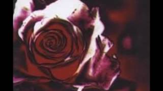 Wohlstandskinder - Gegenüber