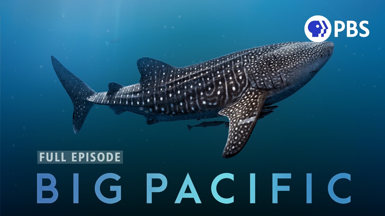 The Mysteries of Earth's Largest Ocean | Big Pacific | Full Episode 1 | PBS