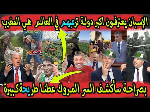 الاسبان خربقهم المغرب بسبب سبتة والجزائر تحلم بمسح المغرب من الخريطة خوفا من مطلب الصحراء الشرقية