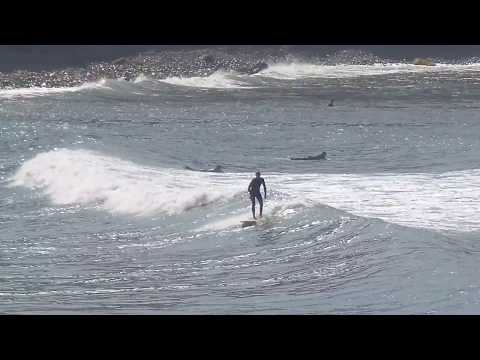 Solid waves at Palos Verdes Cove