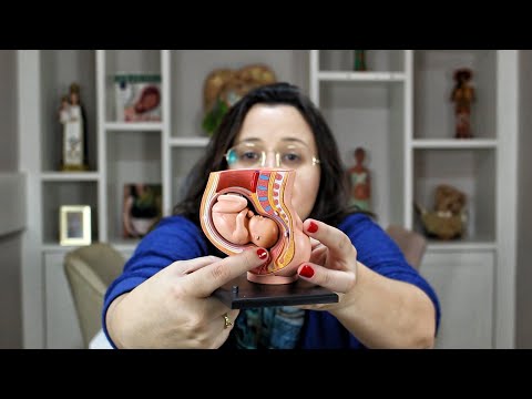 A midwife talks about the stages of labor!