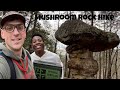 4k HD Hiking To Mushroom Rock Signal Mountain TN From Suck Creek Rd