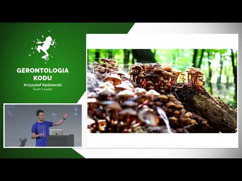 Boiling Frogs 2019 - Krzysztof Kędzierski  - Gerontologia kodu