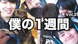 【迷シーン集】今週のこうはい対戦まとめvol.2【ポケモン剣盾】