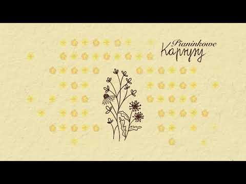 Video thumbnail for Miłość jest ślepa (pianinkowe)