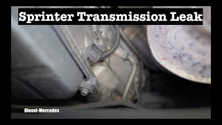 Sprinter automatic transmission leak from elctronic connector