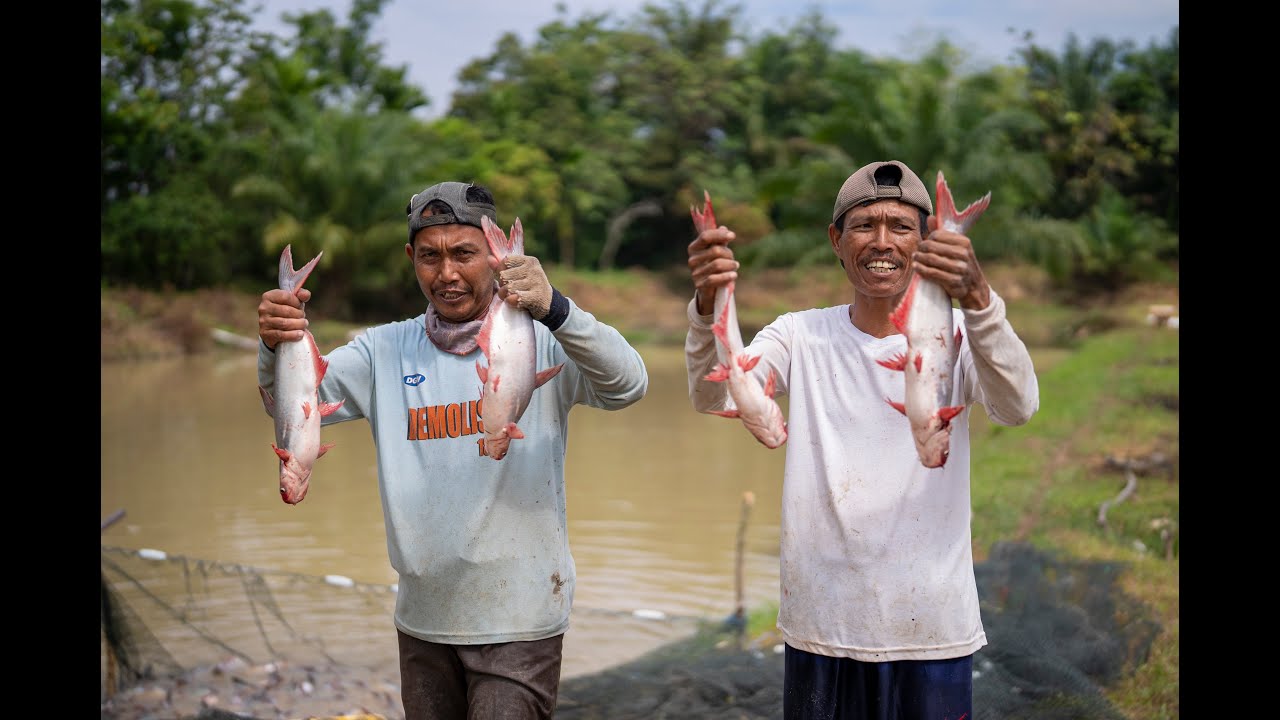 Ternakin – KINETIK Sweef Entrepreneur Fellow
