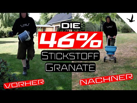 Rasendünger Harnstoff 46% Stickstoff✅Rasenrettung nach der großen Dürre