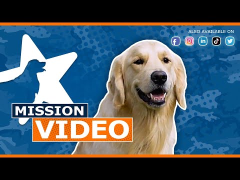 Help Fund Service Dogs for Veterans