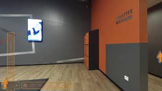 Miniature de la vidéo