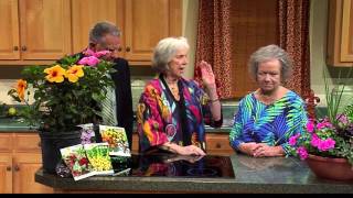 On the Go: Jean Wright, Wright&#39;s Produce - State Farmers Market