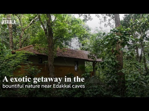 An exotic getaway in the bountiful nature near Edakkal caves